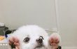 밥먹쟈 우리애기