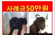 제발 살아만 있어줘.................