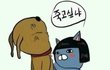 +추추추가 얘드라 오빠가 좀 변태같아;;