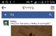 페이스북.고양이 청테이프 학대범을 찾습니다.