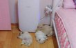 보일러를 틀었더니