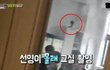 추)추)추가)동상이몽 강선영편 주작근거