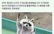 판녀이면 니네 이거 꼭봐야함 ; ㅋ