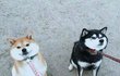 성이 김인데 이름 진짜 특이 할순없나..?
