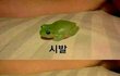 진짜 싫어하는 애 이름 적고가!