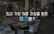 "최근 가장 많은 관심을 받은 생선은?"