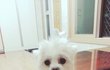 기욤이뿌뀨!!