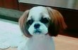 난 엄마가 너~무좋아