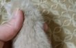 파스텔기다리신분들께