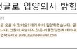 영악이 입양진행부터 입양취소까지의 내용 정리