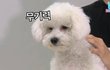 내 여친도 몸매 좀 좋았으면 좋겠다