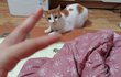나의 동거남 도칠이 요즘,.