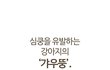 강아지들 갸우뚱거리는 이유.jpg