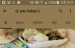 햄스터냉장고에 넣은사람+추가
