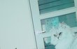 돌아온 내사랑냥아치 4