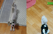 오늘의 톡