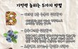 [펌] 기억력을 높이는 5가지 방법