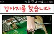 성남 학대견 모란시장쪽에 팔았다고 합니다.