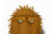 낙태금지법 진짜 어이없다