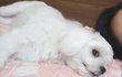 초롱아 아프지 마