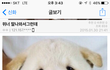 타돌 후려패는 신화창조