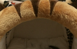 고양이 버릇 고치는 방법 좀..