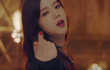블랙핑크 지수 돌았나봄 (feat.진)
