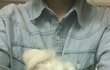 [강아지]상처가 많았던 아이가 180도 변했어요^^
