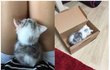 로로 일상 파파라치