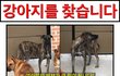 장성에서 노숙 - 반짝이 프로젝트 중