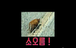 입던교복을 팔려고하는데 남자가;