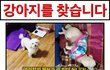 @@저희 집 강아지 쫑이를 찾아주세요 부탁드립니다