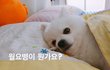 오늘의 톡