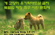 진짜 궁금했는데 이런식으로 협상했었군요