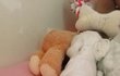 오늘의 톡