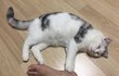 로로 일상 파파라치 6탄