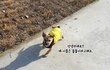 믹스견 돌돌이의 가족이 되어주세요.