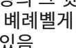 나 아주 대단한 맞춤법 봄ㅋㅋㅋ