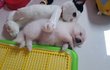 오늘의 톡