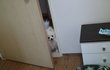 오늘의 톡