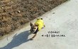 보호소에서 태어난 돌돌이