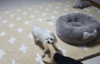 송이 이야기~