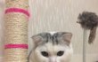 로로 일상 파파라치 11탄