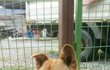 한식구가 팔려갑니다.
