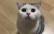 오늘의 톡