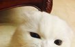 오늘의 톡
