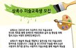 상록수 무료 미술교육