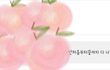 그 후로 이야기.....:)