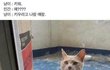 판에서 이럴 때 되게 상처받지 않냐...?