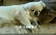 나처럼 브라 3년 입는애있니...
